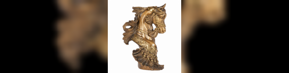 Узкая фотография Лошадь императора